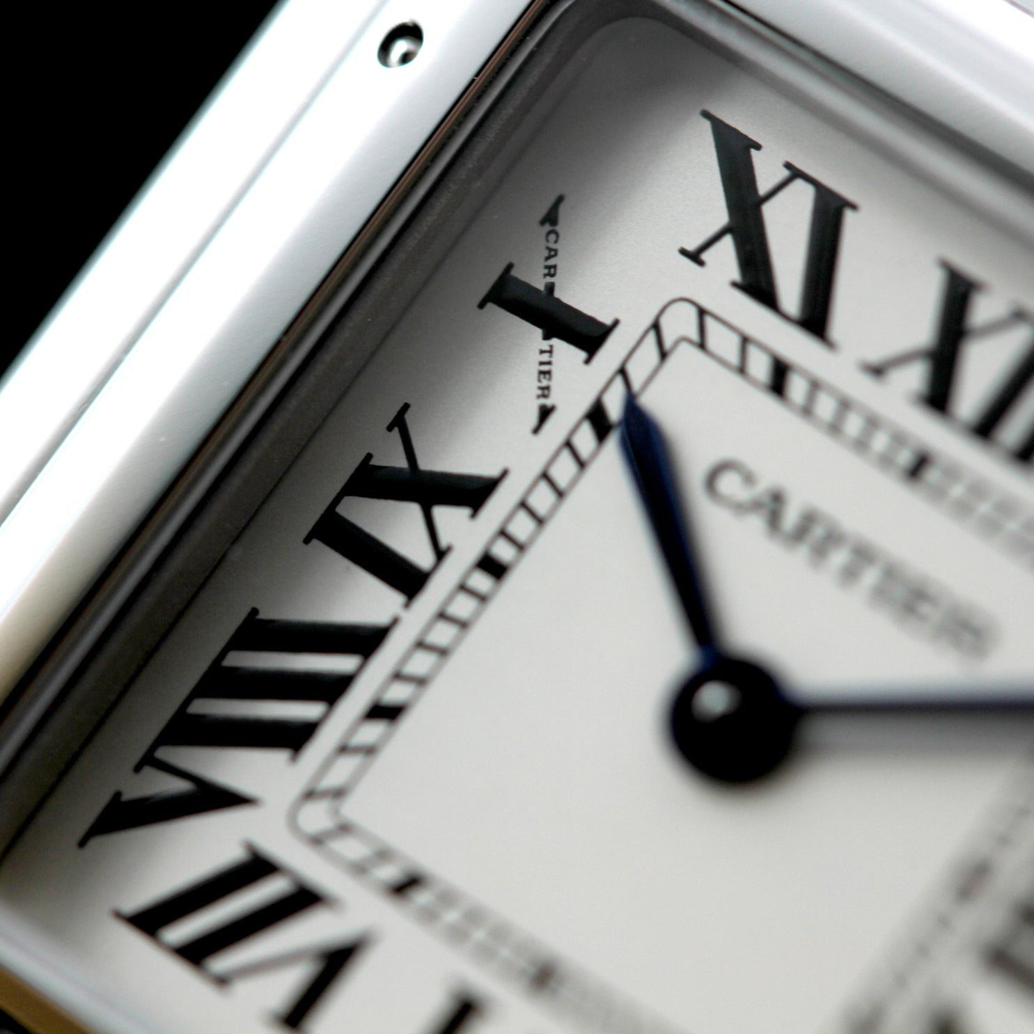 Cartier Panthère de Cartier 27 x 37 mm, Edelstahl, Ref. WSPN0007, 08 - 2020 B+P - LUXUHRIA