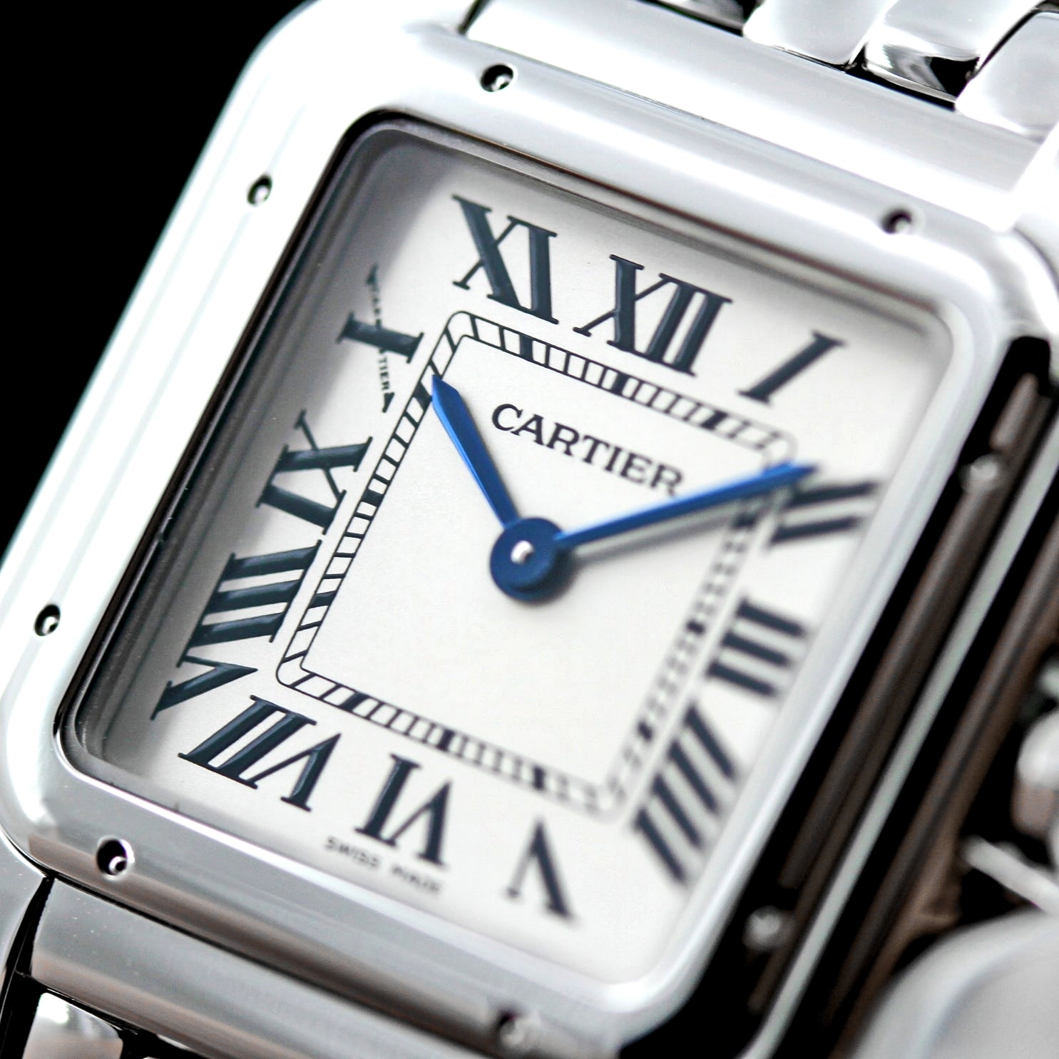 Cartier Panthère de Cartier 27 x 37 mm, Edelstahl, Ref. WSPN0007, B+P - LUXUHRIA