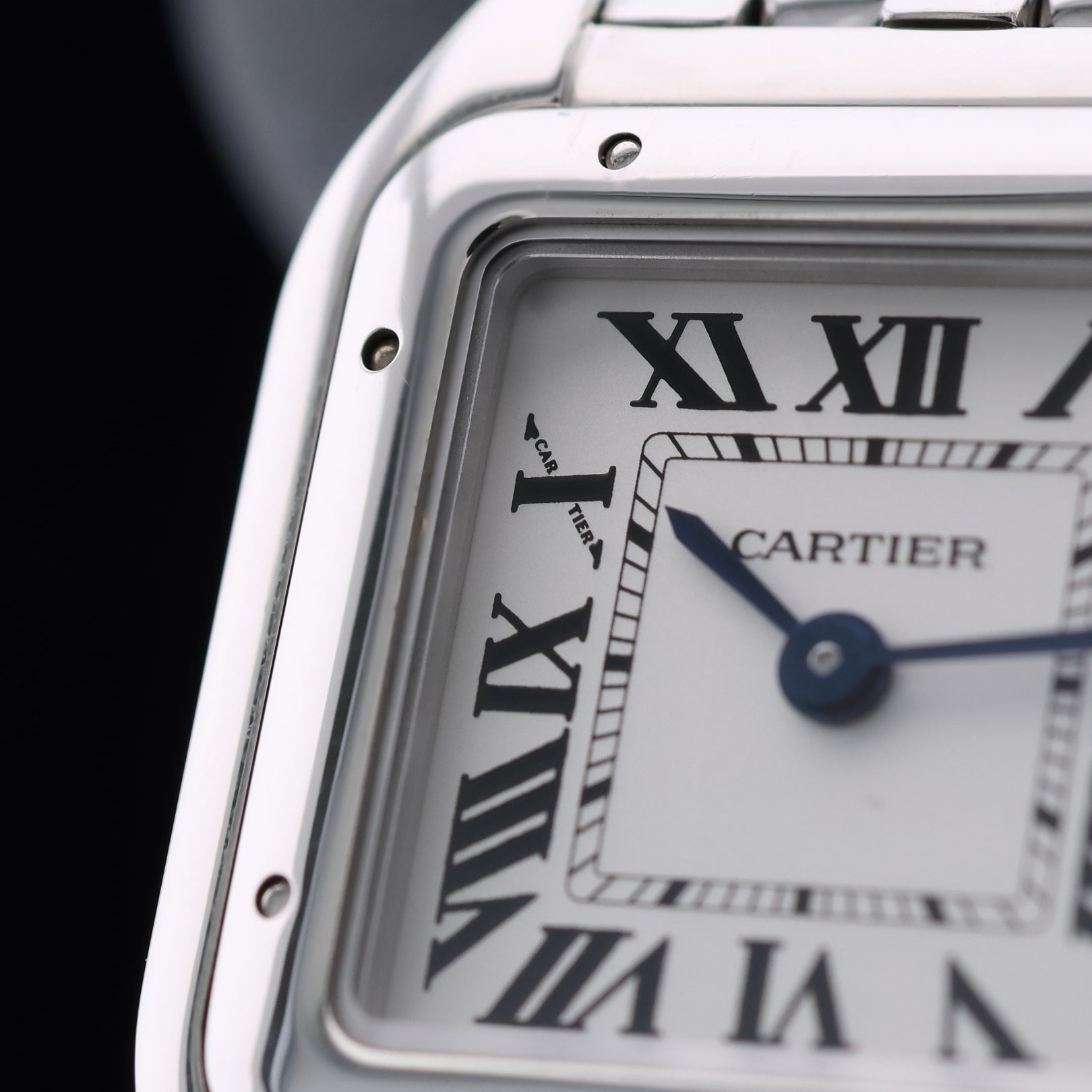 Cartier Panthère de Cartier SM, Edelstahl, 23x30 mm, Ref. WSPN0006, 08 - 2023, B+P - LUXUHRIA