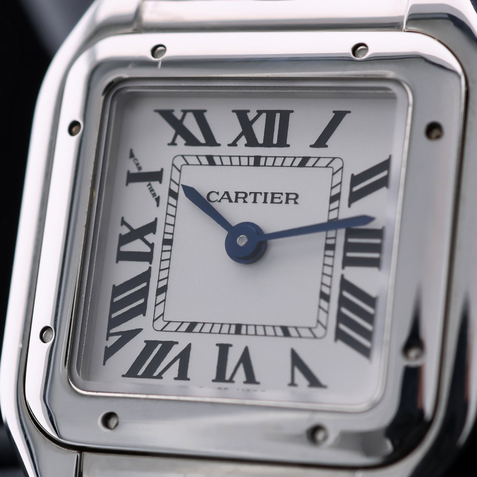 Cartier Panthère de Cartier SM, Edelstahl, 23x30 mm, Ref. WSPN0006, 08 - 2023, B+P - LUXUHRIA
