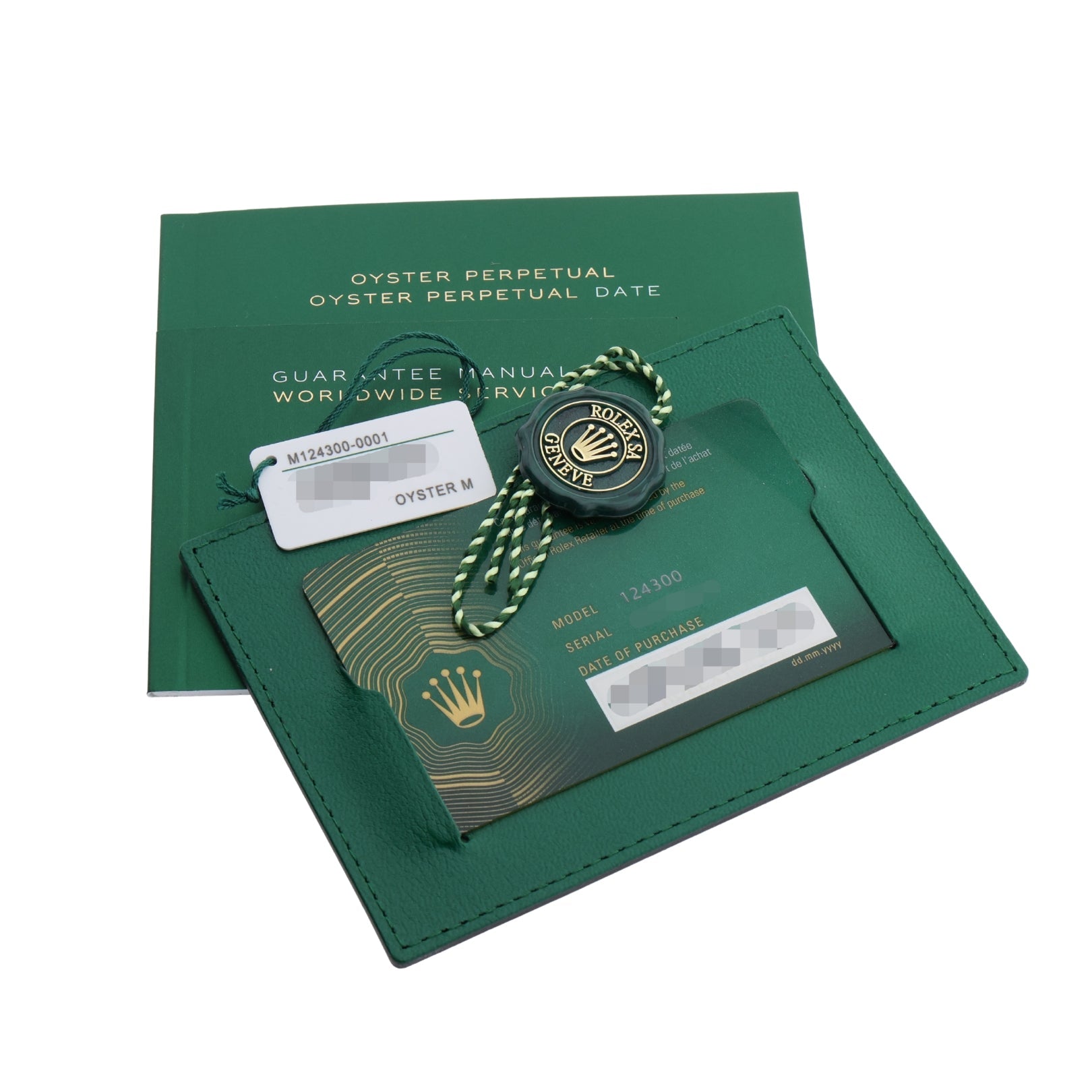 Rolex Oyster Perpetual 41, Silver Dial, LC100, Ref. 124300, 2025, B+P - LUXUHRIA